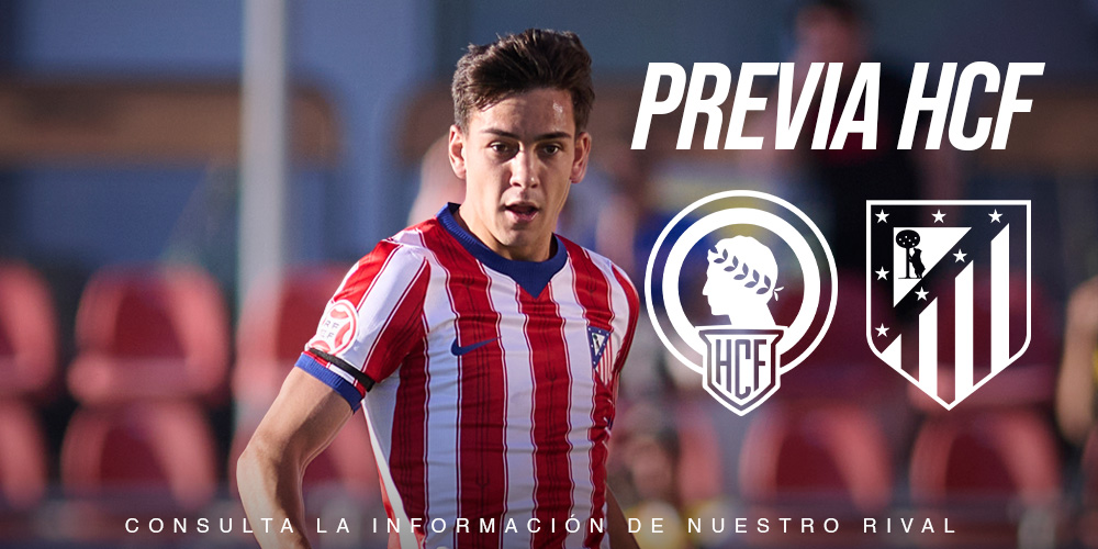 PREVIA HCF WEB